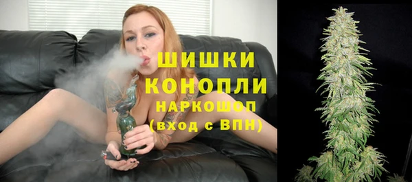 мет Протвино