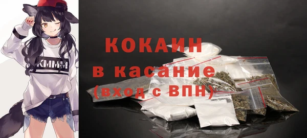 хмурый Абаза