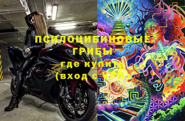 сатива Алексин
