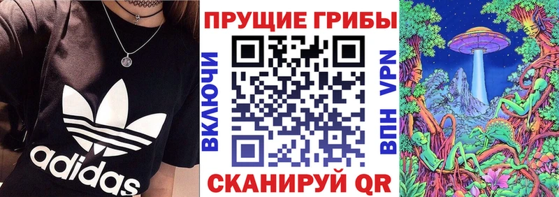 Псилоцибиновые грибы MAGIC MUSHROOMS Зубцов